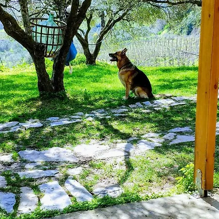 Farm-small Paradise!